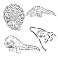 Pangolin animal engraving vector illustration. Scratch board style imitation. Black and white hand drawn image.