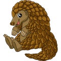 Pangolin Cartoon Clipart Vector Illustration