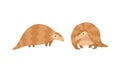 Pangolin or Scaly Anteater with Clawed Paw Standing Vector Set