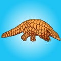 Pangolin walks and smiles peacefully