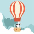 Panguin using a telescope with hot air balloon Royalty Free Stock Photo