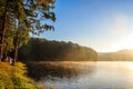 PangUng lake and pine trees forest with warm sunlight on morning Royalty Free Stock Photo