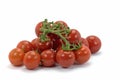 Panicles tomatoes isolated against a white background Royalty Free Stock Photo