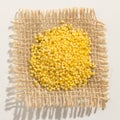 Proso Millet cereal grain. Close up of grains over burlap.