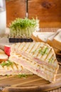 Panini cheese ham toast, fresh apple sandwitch Royalty Free Stock Photo