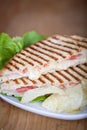 Panini Royalty Free Stock Photo