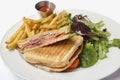 Panini with Ham Melted Cheese French Fries and Salad Royalty Free Stock Photo