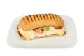 Panini on a plate Royalty Free Stock Photo