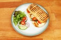 Panini and salad Royalty Free Stock Photo