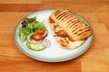 Panini and salad on a plate Royalty Free Stock Photo