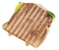 Panini Sandwich Royalty Free Stock Photo