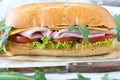 Panini sandwich with ham Royalty Free Stock Photo