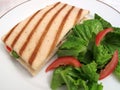 Panini and Side Salad Royalty Free Stock Photo