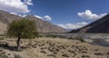 Panj River and Tree in Wakhan Valley