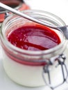 Panna cotta Royalty Free Stock Photo