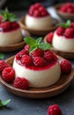 Panna Cotta with Creamy Top and Vibrant Raspberry Sauce on the Side