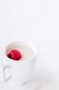 Panna cotta dessert jelly with raspberry Royalty Free Stock Photo