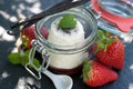 Panna cotta Royalty Free Stock Photo