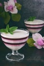 Panna cotta. Layered vanilla milk berry dessert. Pannacotta in glass with strawberry jello. Traditional italian dessert. Copy spac