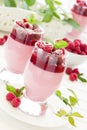 Panna cotta Royalty Free Stock Photo