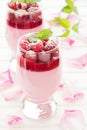 Panna cotta Royalty Free Stock Photo