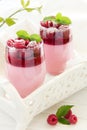 Panna cotta Royalty Free Stock Photo