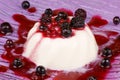 Panna cotta with soft fruits Royalty Free Stock Photo