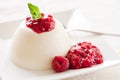 Pannacotta Royalty Free Stock Photo