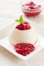 Pannacotta Royalty Free Stock Photo