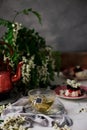 Pannacotta with acacia flowers and cherry sauce Royalty Free Stock Photo