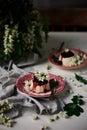 Pannacotta with acacia flowers and cherry sauce Royalty Free Stock Photo
