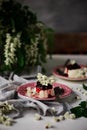 Pannacotta with acacia flowers and cherry sauce Royalty Free Stock Photo