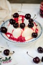 pannacotta with cherry sauce Royalty Free Stock Photo