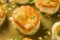 Panned Seared Scallops in Broth