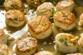 Panned Seared Scallops in Broth