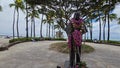 panning footage of Prince Jonah Kuhio Kalanianaole with colorful flowers, lush green palm trees, plants and grass, blue ocean