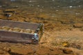 Panning for gold with a sluice box Royalty Free Stock Photo