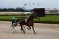 Horse harness sulky pony race in palma de mallorca hippodrome panning wide Royalty Free Stock Photo