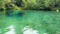 The spring in Ichetucknee State Park in Florida