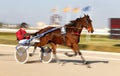 Horse harness race or sulky race rider preparing before race in palma de mallorca hippodrome Royalty Free Stock Photo