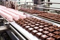 panning shot of an automated line for chocolate pralines