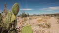 Panning shot of Boothill cemetery in Tombstone, Arizona