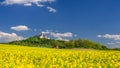 Pannonhalma Archabbey with canola, rapeseed field