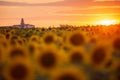 Pannonhalma Archabbey with sunflowers field and the Sun at the sunset time