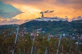 Pannonhalma Archabbey with vine grapes in the vineyard. Beautiful vineyard landscape with cloudy sky in autumn at sunset. Royalty Free Stock Photo