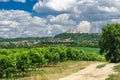Pannonhalma Archabbey with vine grapes in the vineyard, Hungary. Beautiful vineyard landscape with blue sky in summer. Pannonhalma Royalty Free Stock Photo