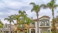 Pano Elegant homes along road lined with palm trees in Long Beach scenic neighborhood