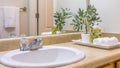 Pano frame Vanity area of bathroom with close up view of towels and plants beside the sink