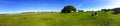 Panoramic view of inside Epsom Downs racecourse. Royalty Free Stock Photo
