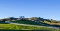 Pano A white ranch fence are running diagonally up a green grass hillside